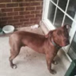 Meet your Posher, Mara